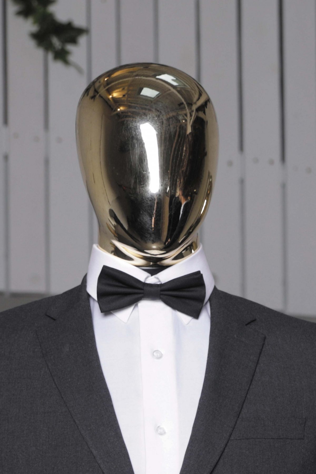 NEOBLU TEDDY - Image 2