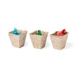 Kit Horta Mendrax - Image 3