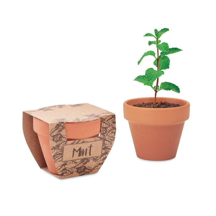 MINT POT - Image 1