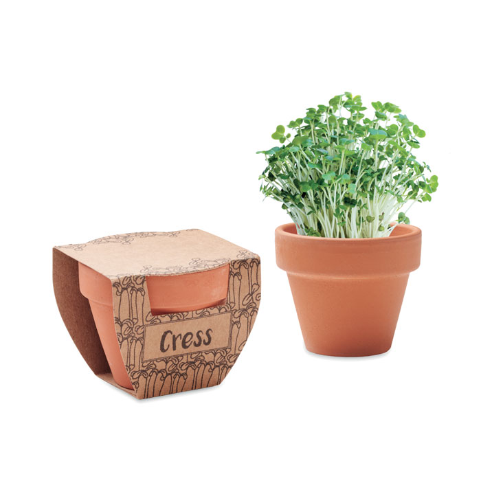 CRESS POT - Image 1