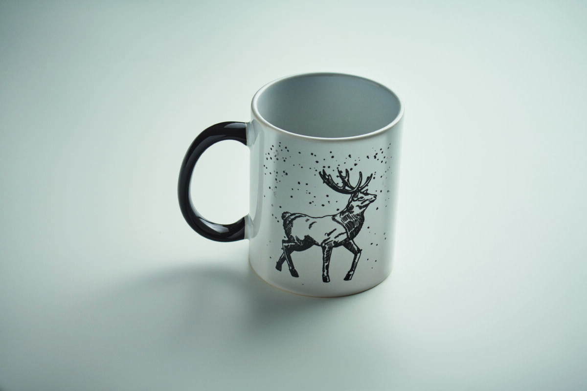 FESTIMUG - Image 4