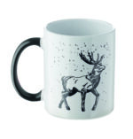 FESTIMUG - Image 9