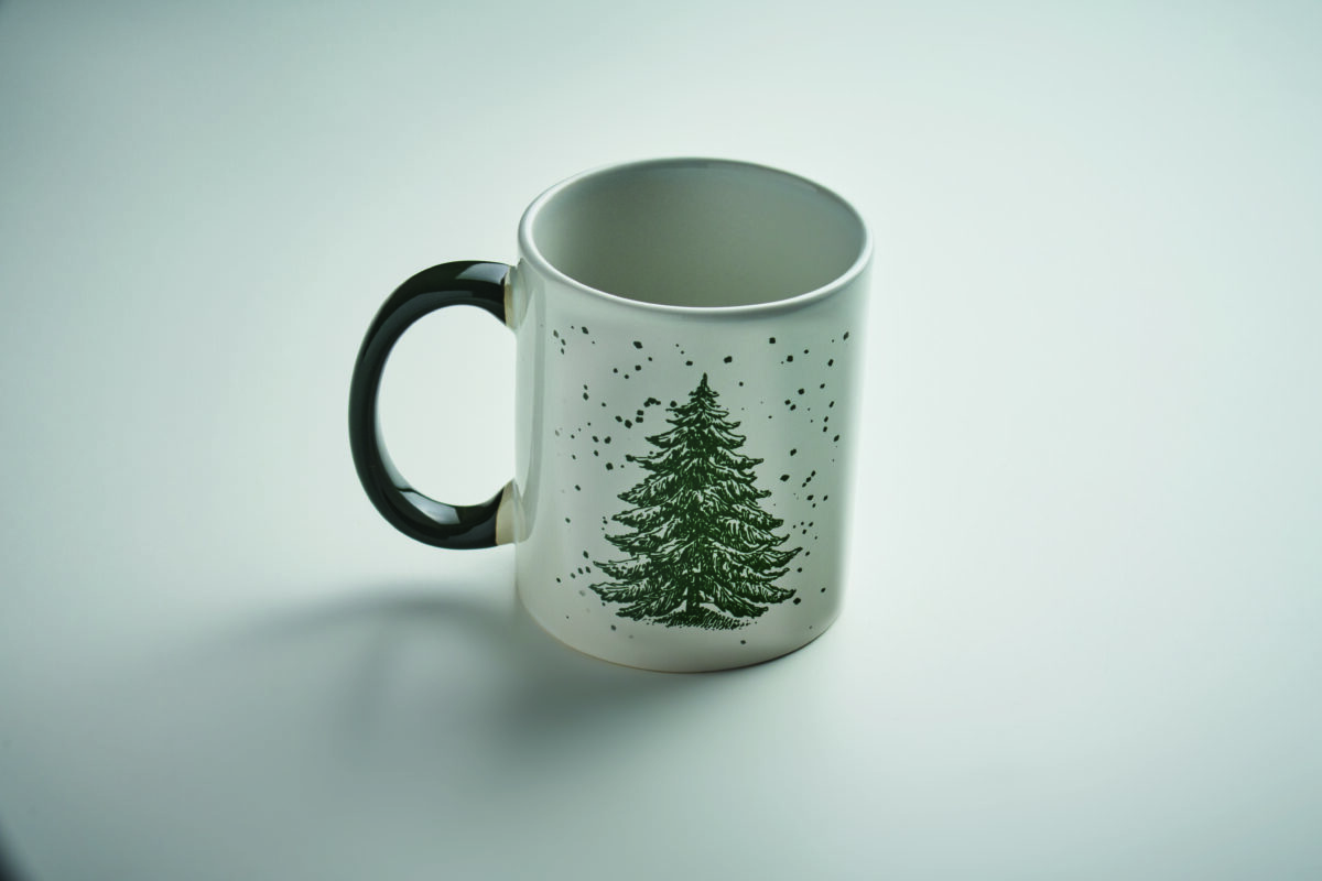 FESTIMUG - Image 24